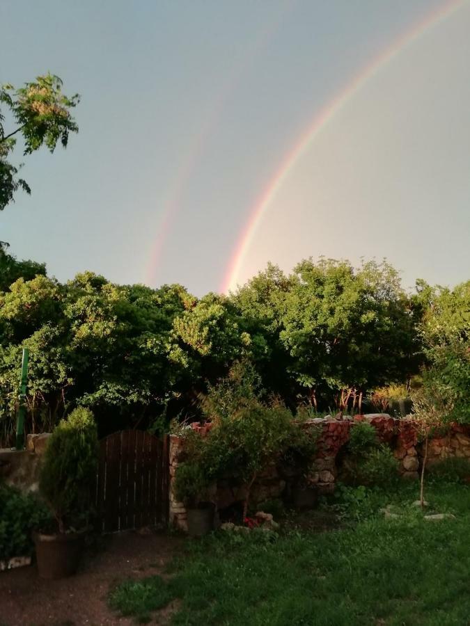 Mirta Apartments Family Farm Budva Dış mekan fotoğraf