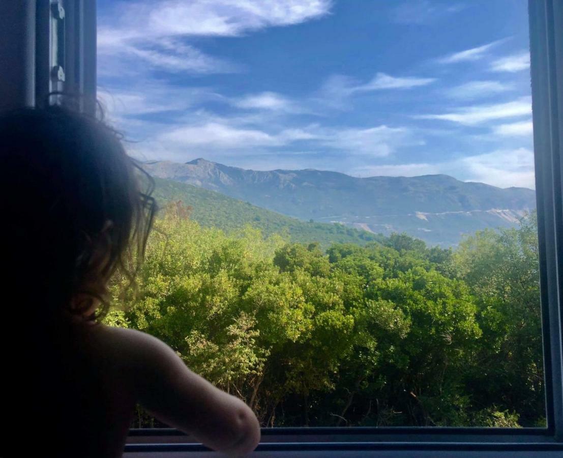 Mirta Apartments Family Farm Budva Dış mekan fotoğraf